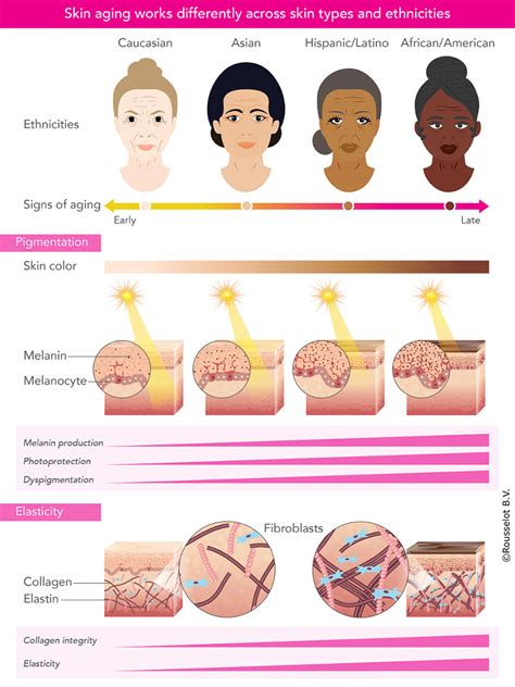 skin thickness by race